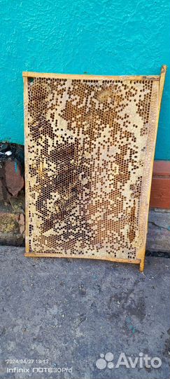 Рамки сушь- дадан