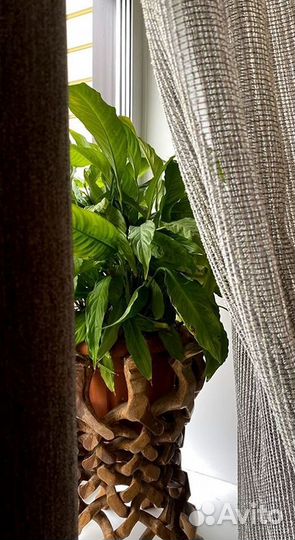 Лёгкие шторы на заказ Вуаль