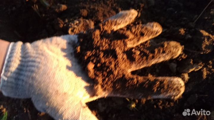 Чернозем Перегной Тамбов плодород.35кг и насыпом д