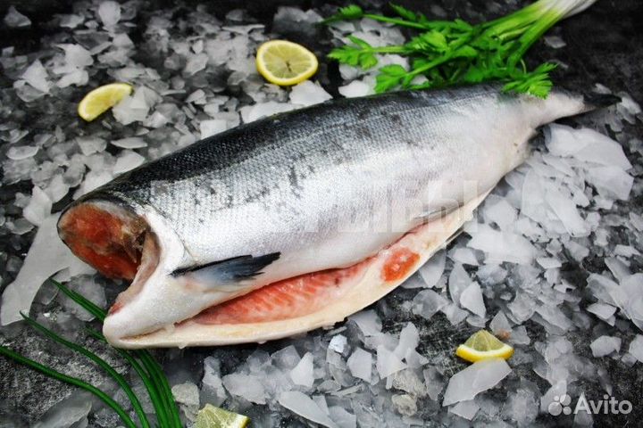 Кета свежемороженая