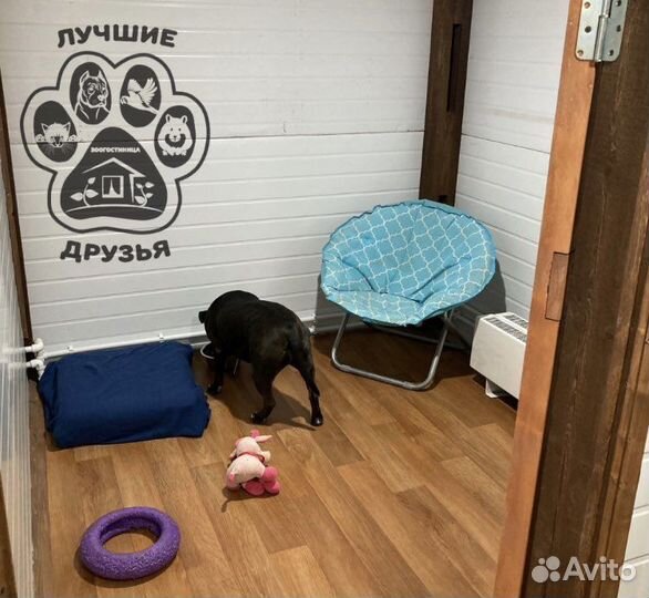 Зоогостиница для животных передержка