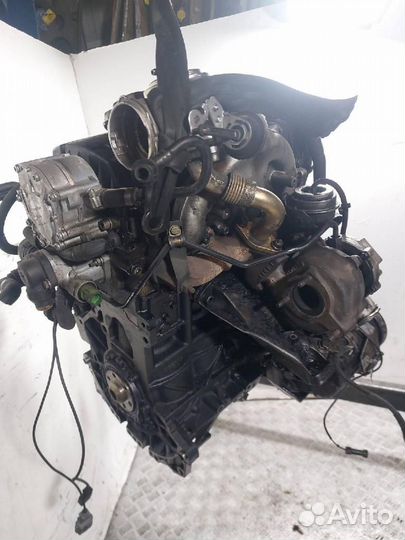Двигатель Audi A4/S4