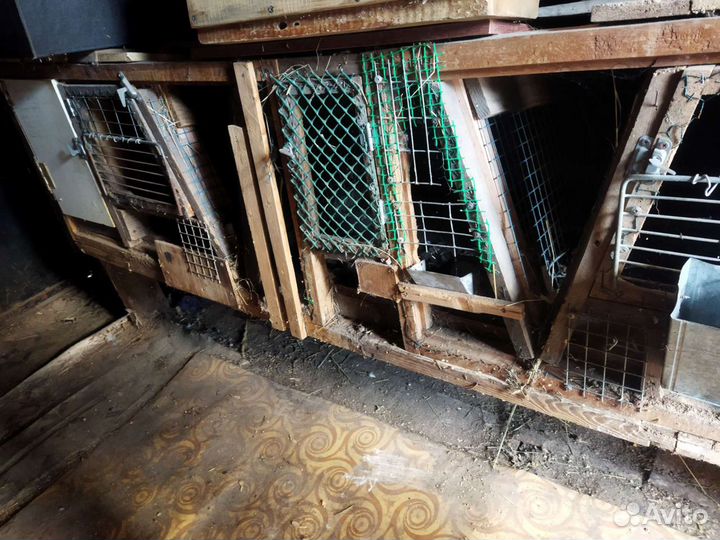 Клетка- (маточник) для кроликов