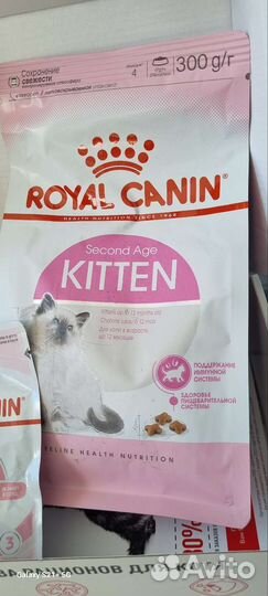 Корм для котят