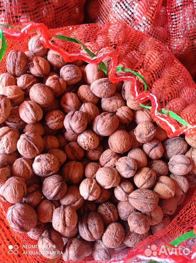 Орех грецкий(объем)