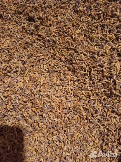 Лаванда сухая, весовая