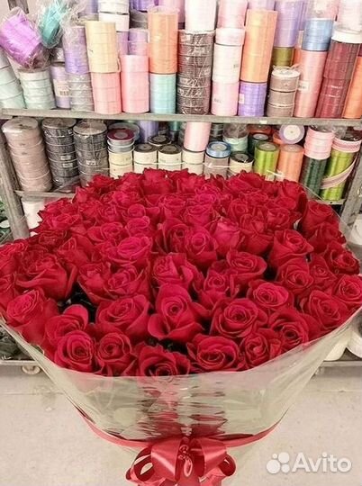 101 роза цветы букеты доставка 25 51 101 роза