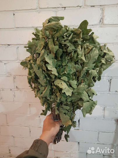 Дубовые веники для бани