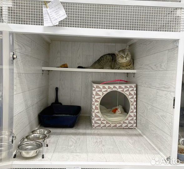 Зоогостиница/ Передержка животных