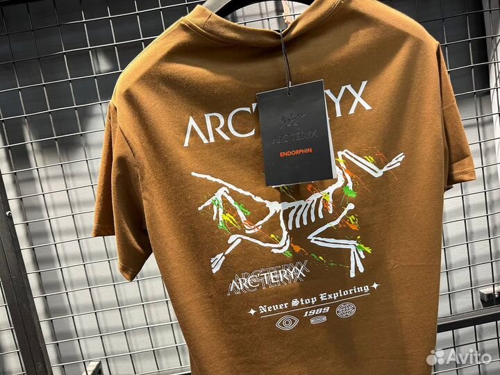 Футболка мужская arcteryx (Арт.87349)