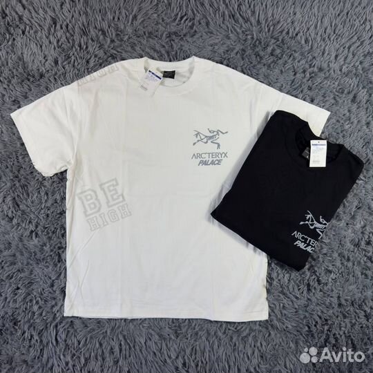 Arcteryx x palace футболка big logo