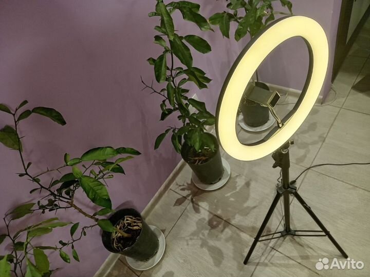 Кольцевые лампы 32см