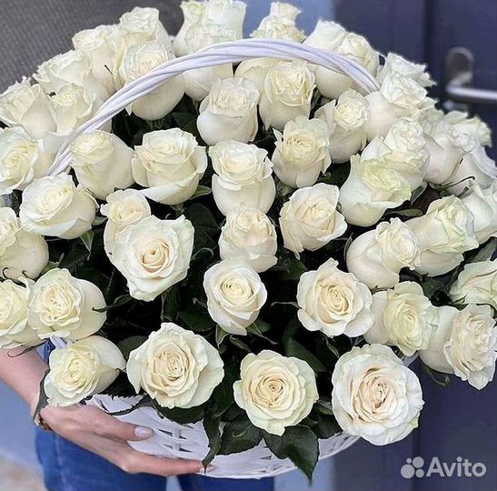 Высокие розы Гигантские розы Доставка цветов