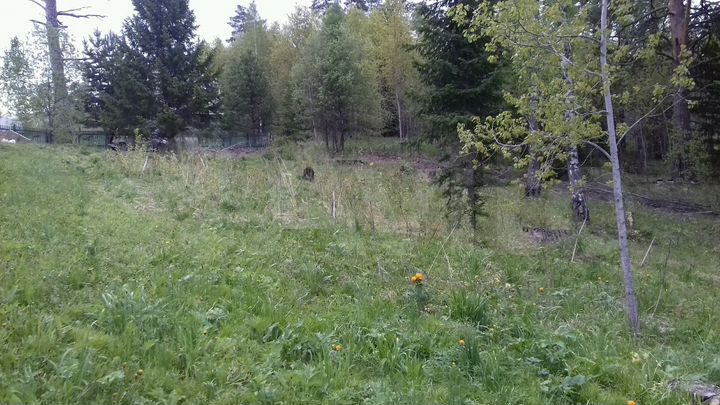 Участок 10 сот. (СНТ, ДНП)