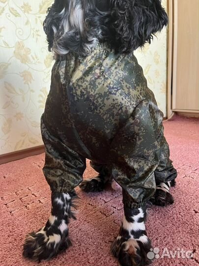 Дождевик комбинезон для собаки