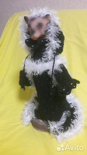 Одежда для животных