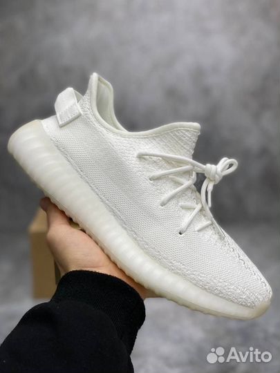 Adidas Yeezy Boost 350