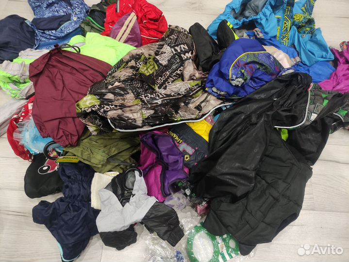 Одежда для собак