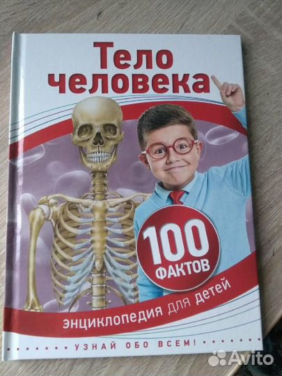 Тело человека 100 фактов