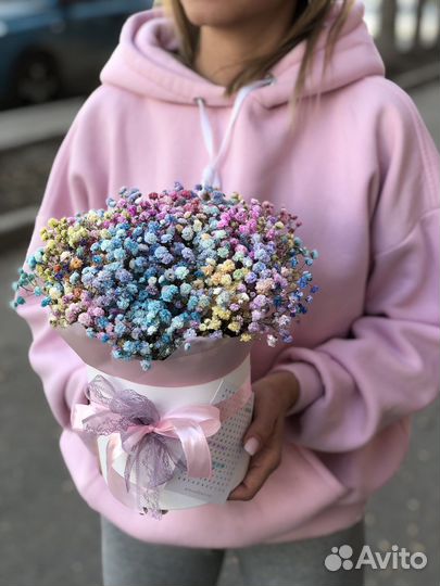 Гипсофила радужная