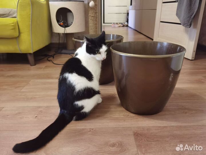 Горшок для комнатных растений 15.5см диаметр, 21л