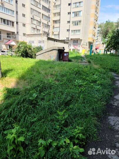 Ящики пластиковые для погреба