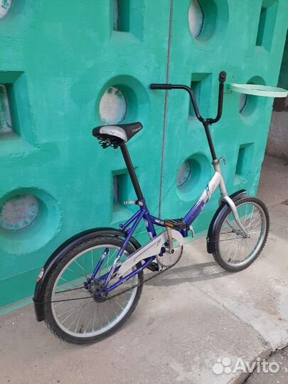 Forward Larsen Stels