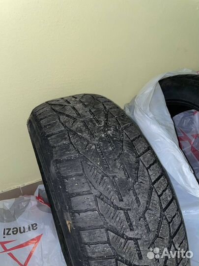 Tigar Winter 215/55 R17 98V