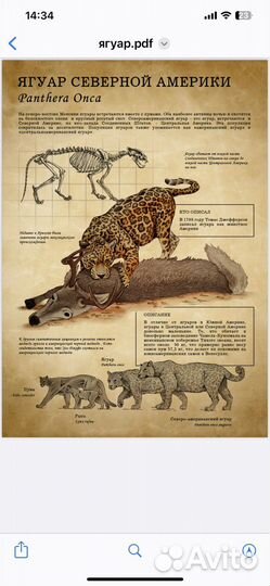 Обучающий материал для детей и их родителей