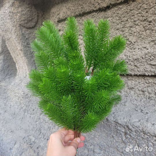 Еловые ветки, венки, новогодний декор