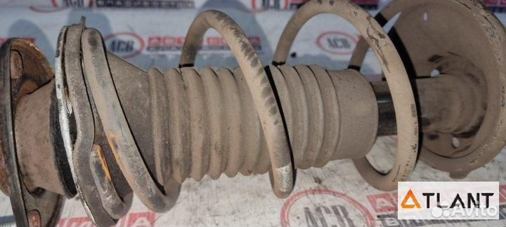 Стойка передняя левая toyota IST