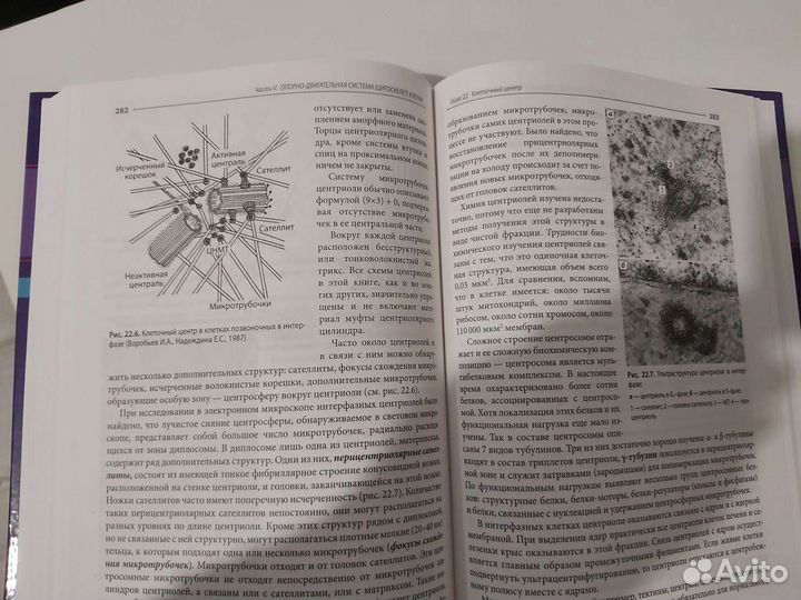 Учебное пособие для университетов и медицинских ву