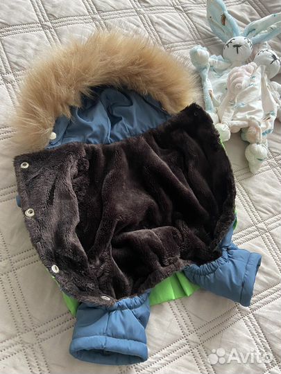 Комбинезон для маленькой собаки