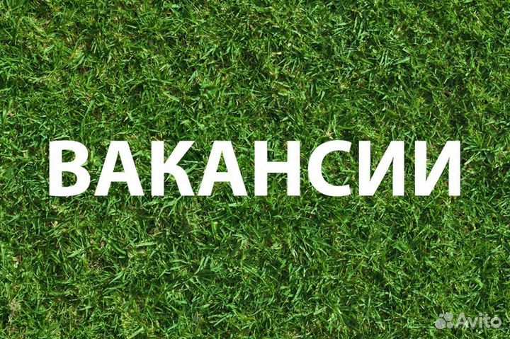 Тракторист