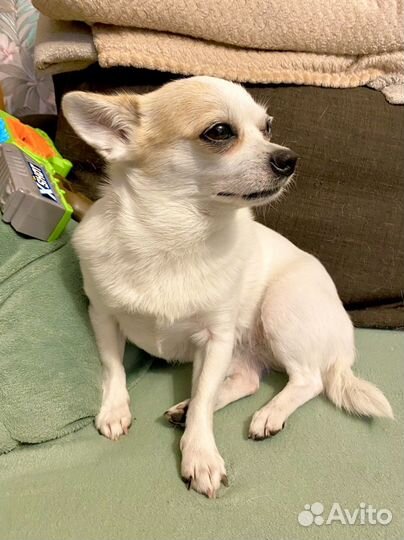 Ищем кабеля для вязки