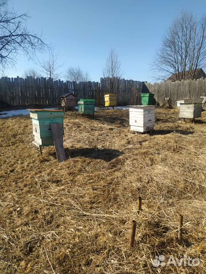 Ульи для пчел бу