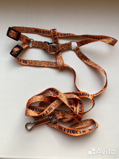 Шлейка с поводок комплект. Ошейник с бубенчиком