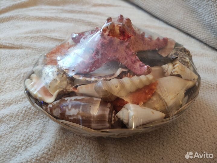 Ракушки в корзинке