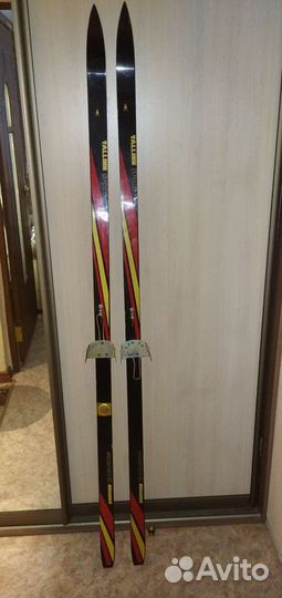 Беговые лыжи