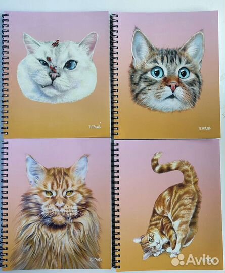 Тетрадь общая (комплект)