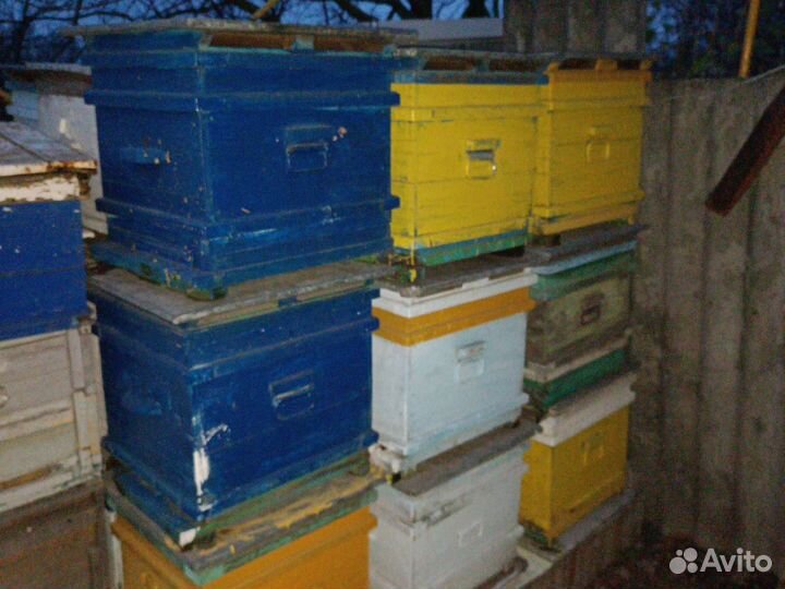 Улей для пчел