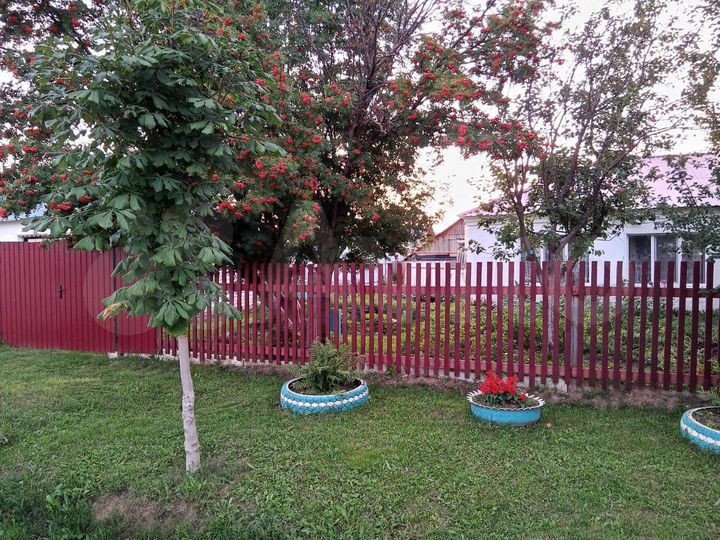 Дом 53,3 м² на участке 10 сот.