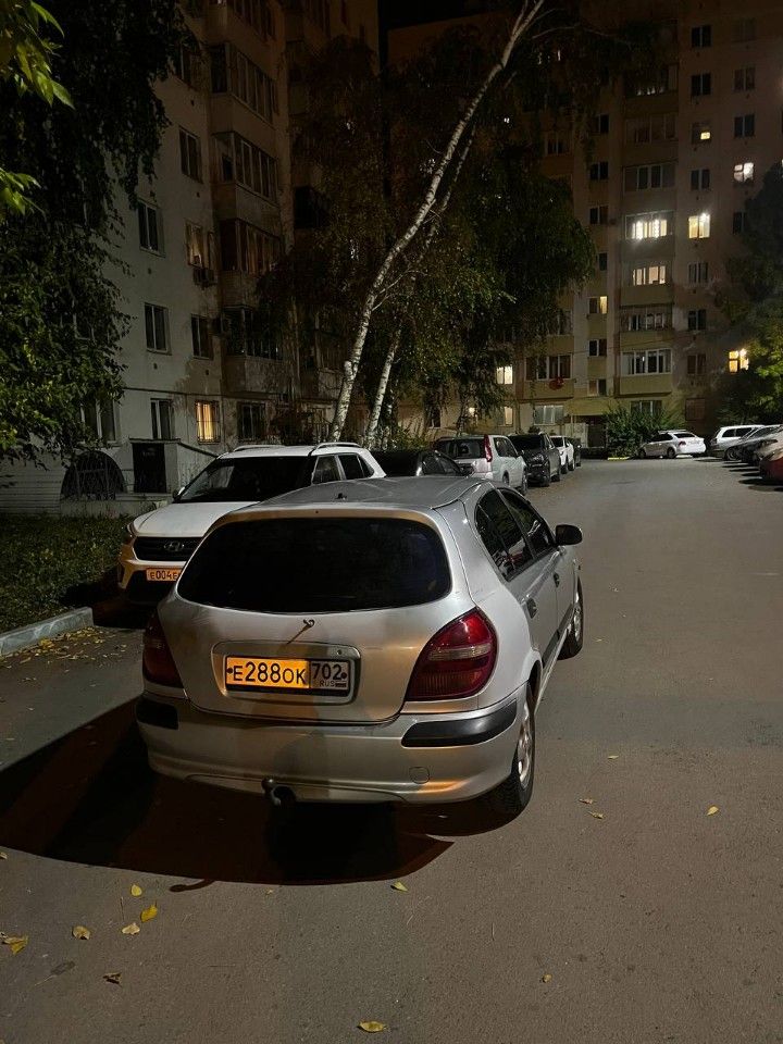 Nissan Almera: фото владельца