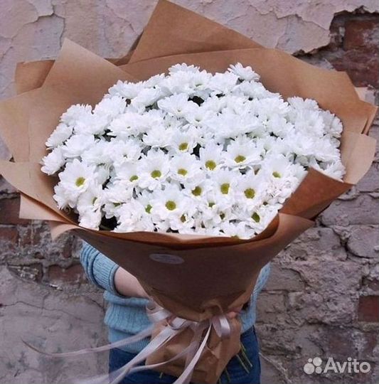 Хризантема Доставка цветов Букеты