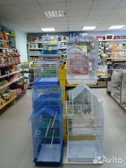 Попугай волнистый и клетки