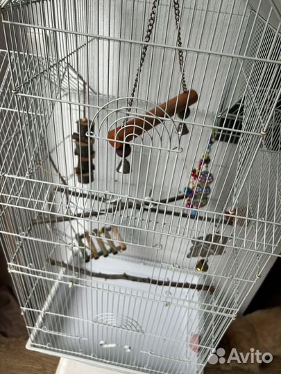 Клетка для попугая