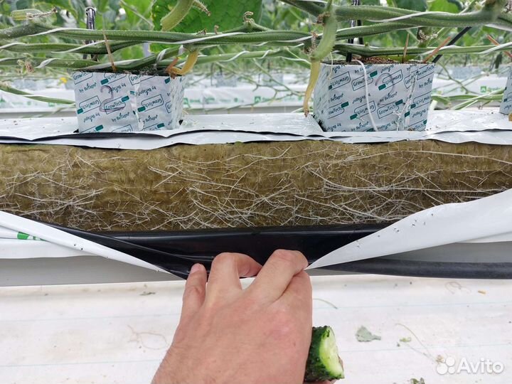 Услуги агронома