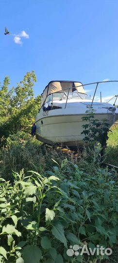 Bayliner 2355 sierra