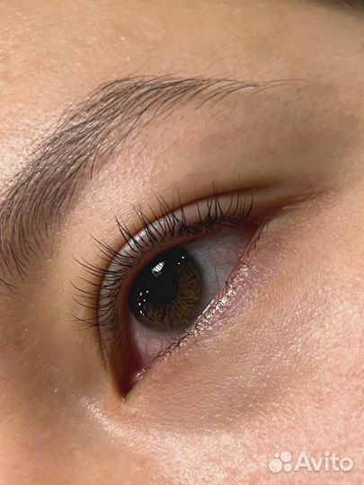 Модель Ламинирование ресниц