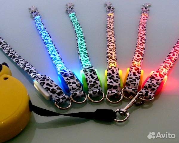 Светодиодный поводок и ошейник